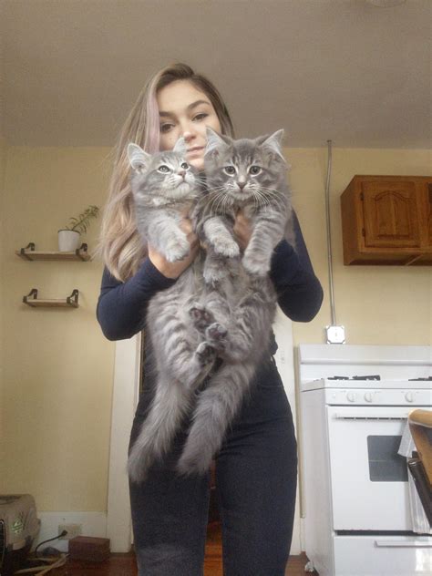 double pussy